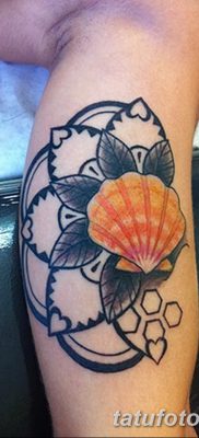 фото тату раковина от 19.08.2017 №026 — Tattoo shell_tatufoto.com