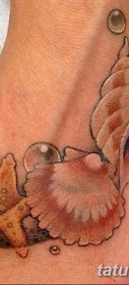 фото тату раковина от 19.08.2017 №035 — Tattoo shell_tatufoto.com
