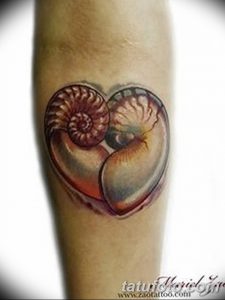 фото тату раковина от 19.08.2017 №038 - Tattoo shell_tatufoto.com