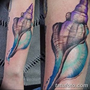 фото тату раковина от 19.08.2017 №040 - Tattoo shell_tatufoto.com