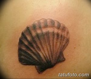 фото тату раковина от 19.08.2017 №041 - Tattoo shell_tatufoto.com