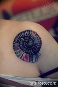 фото тату раковина от 19.08.2017 №043 - Tattoo shell_tatufoto.com