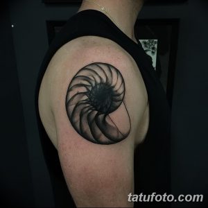 Фото элегантной татуировки аммонита на плече, выполненной в технике blackwork. Использование только черных чернил и плотных штрихов создает эффект графичности и контраста.