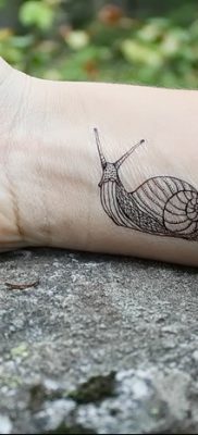 фото тату раковина от 19.08.2017 №144 — Tattoo shell_tatufoto.com