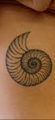 фото тату раковина от 19.08.2017 №145 — Tattoo shell_tatufoto.com