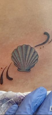 фото тату раковина от 19.08.2017 №150 — Tattoo shell_tatufoto.com