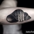 фото тату раковина от 19.08.2017 №155 - Tattoo shell_tatufoto.com
