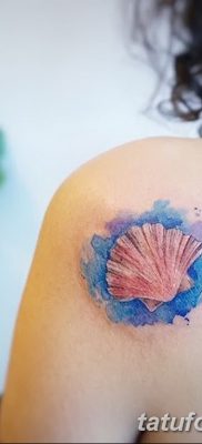 фото тату раковина от 19.08.2017 №157 — Tattoo shell_tatufoto.com