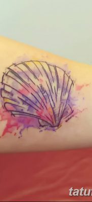 фото тату раковина от 19.08.2017 №172 — Tattoo shell_tatufoto.com