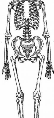 фото тату скелет от 28.08.2017 №022 — tattoo skeleton — tatufoto.com