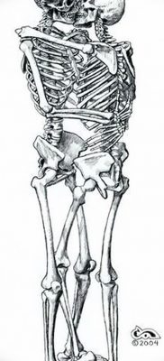 фото тату скелет от 28.08.2017 №033 — tattoo skeleton — tatufoto.com