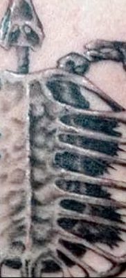 фото тату скелет от 28.08.2017 №047 — tattoo skeleton — tatufoto.com