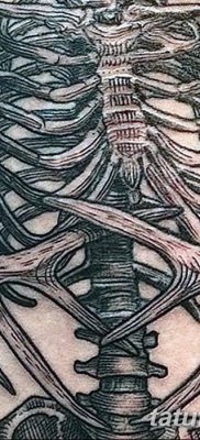 фото тату скелет от 28.08.2017 №093 — tattoo skeleton — tatufoto.com