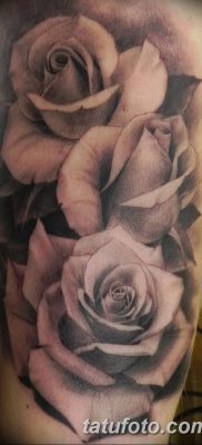 фото тату три розы от 21.08.2017 №056 — Three rose tattoos — tatufoto.com