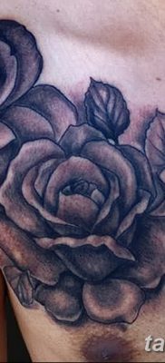 фото тату три розы от 21.08.2017 №073 — Three rose tattoos — tatufoto.com