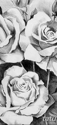 фото тату три розы от 21.08.2017 №107 — Three rose tattoos — tatufoto.com