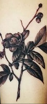 фото тату черника от 21.08.2017 №032 — Blueberry tattoo — tatufoto.com