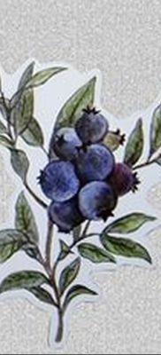 фото тату черника от 21.08.2017 №048 — Blueberry tattoo — tatufoto.com