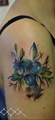 фото тату черника от 21.08.2017 №055 — Blueberry tattoo — tatufoto.com