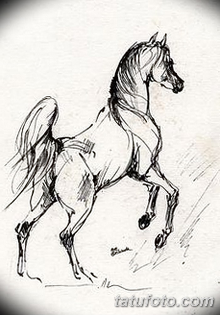 Карандашный набросок 5 букв сканворд. Наброски лошадей. Карандашный набросок лошади. Лошадь эскиз. Лошадь карандашом.
