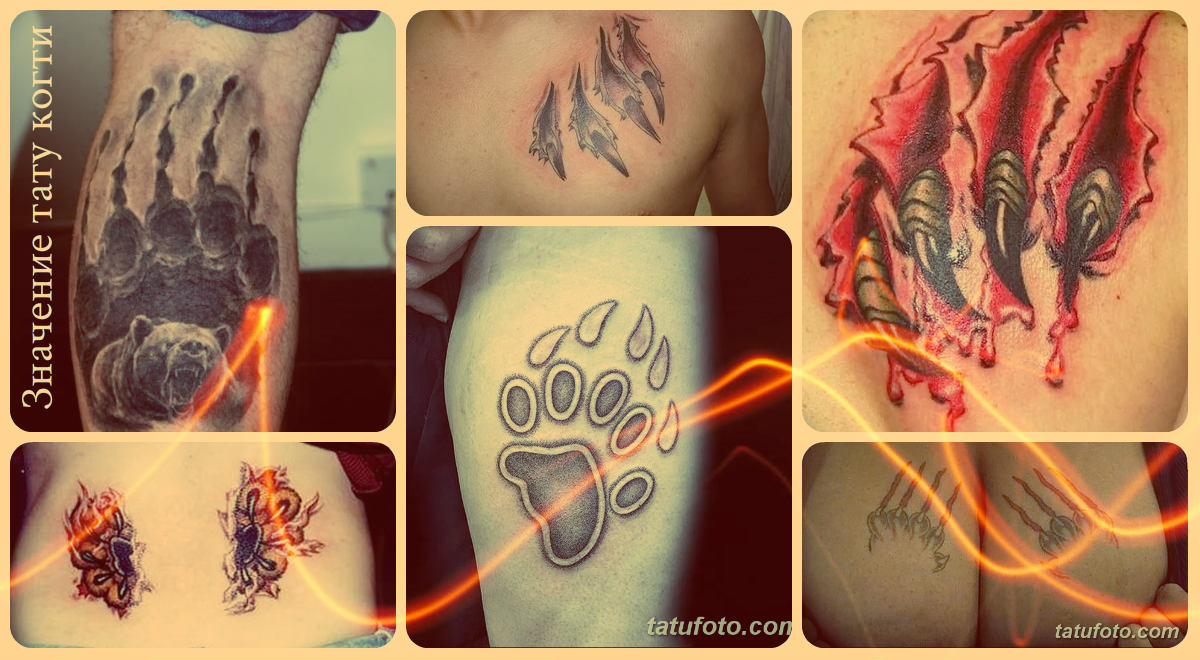 Значение тату когти - фото коллекция примеров готовых татуировок