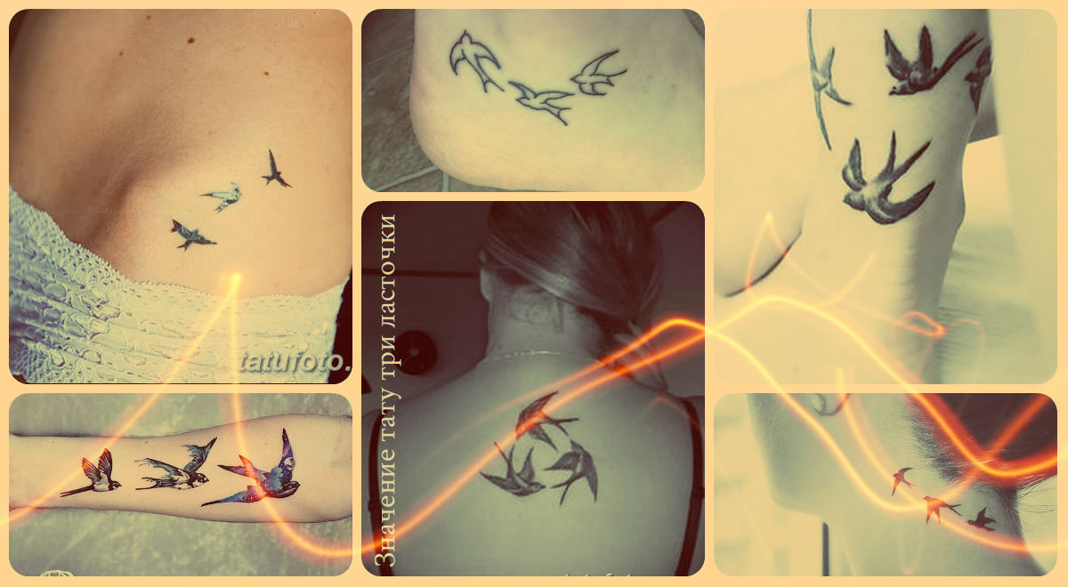 Значение тату три ласточки - фотографии интересных рисунков татуировок