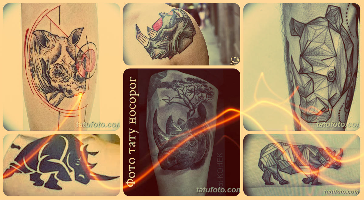Фото тату носорог - примеры рисунков готовых татуировок на фото