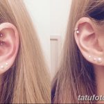 фото Трагус-пирсинг от 19.09.2017 №092 - Tragus Piercing - tatufoto.com