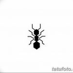 фото Эскиз тату муравей от 07.09.2017 №002 - Sketch of an ant tattoo - tatufoto.com