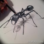 фото Эскиз тату муравей от 07.09.2017 №003 - Sketch of an ant tattoo - tatufoto.com