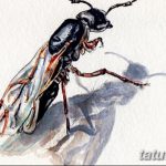 фото Эскиз тату муравей от 07.09.2017 №004 - Sketch of an ant tattoo - tatufoto.com