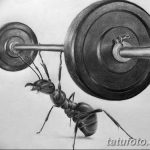 фото Эскиз тату муравей от 07.09.2017 №008 - Sketch of an ant tattoo - tatufoto.com