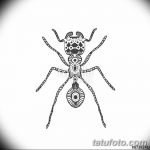 фото Эскиз тату муравей от 07.09.2017 №009 - Sketch of an ant tattoo - tatufoto.com