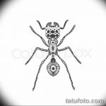фото Эскиз тату муравей от 07.09.2017 №011 - Sketch of an ant tattoo - tatufoto.com