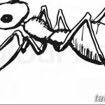 фото Эскиз тату муравей от 07.09.2017 №013 - Sketch of an ant tattoo - tatufoto.com