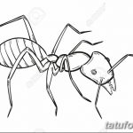 фото Эскиз тату муравей от 07.09.2017 №015 - Sketch of an ant tattoo - tatufoto.com 123231