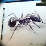 фото Эскиз тату муравей от 07.09.2017 №018 - Sketch of an ant tattoo - tatufoto.com