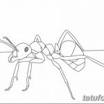 фото Эскиз тату муравей от 07.09.2017 №023 - Sketch of an ant tattoo - tatufoto.com