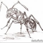 фото Эскиз тату муравей от 07.09.2017 №025 - Sketch of an ant tattoo - tatufoto.com