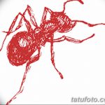 фото Эскиз тату муравей от 07.09.2017 №026 - Sketch of an ant tattoo - tatufoto.com