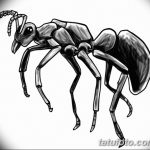 фото Эскиз тату муравей от 07.09.2017 №032 - Sketch of an ant tattoo - tatufoto.com