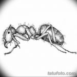 фото Эскиз тату муравей от 07.09.2017 №037 - Sketch of an ant tattoo - tatufoto.com