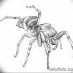 фото Эскиз тату муравей от 07.09.2017 №041 - Sketch of an ant tattoo - tatufoto.com