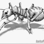 фото Эскиз тату муравей от 07.09.2017 №043 - Sketch of an ant tattoo - tatufoto.com 124151