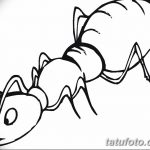 фото Эскиз тату муравей от 07.09.2017 №048 - Sketch of an ant tattoo - tatufoto.com