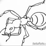 фото Эскиз тату муравей от 07.09.2017 №049 - Sketch of an ant tattoo - tatufoto.com