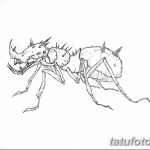фото Эскиз тату муравей от 07.09.2017 №050 - Sketch of an ant tattoo - tatufoto.com