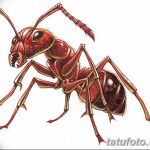 фото Эскиз тату муравей от 07.09.2017 №051 - Sketch of an ant tattoo - tatufoto.com