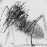 фото Эскиз тату муравей от 07.09.2017 №052 - Sketch of an ant tattoo - tatufoto.com