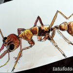 фото Эскиз тату муравей от 07.09.2017 №053 - Sketch of an ant tattoo - tatufoto.com